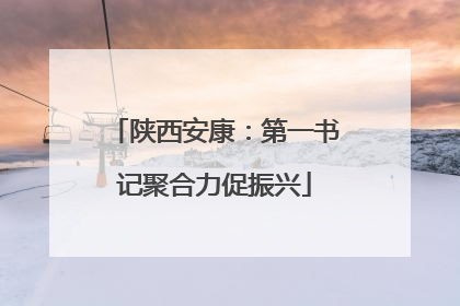 陕西安康：第一书记聚合力促振兴