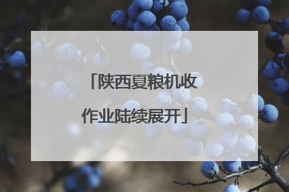 陕西夏粮机收作业陆续展开