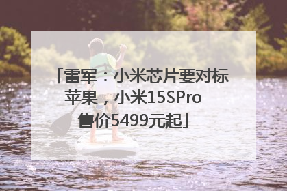雷军：小米芯片要对标苹果，小米15SPro售价5499元起