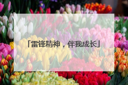 雷锋精神，伴我成长