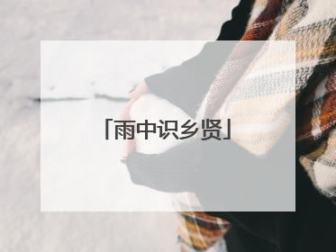 雨中识乡贤
