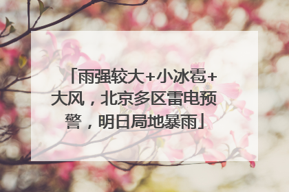 雨强较大+小冰雹+大风，北京多区雷电预警，明日局地暴雨