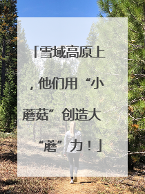 雪域高原上，他们用“小蘑菇”创造大“蘑”力！