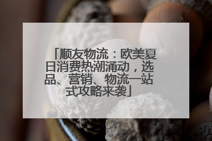 顺友物流：欧美夏日消费热潮涌动，选品、营销、物流一站式攻略来袭