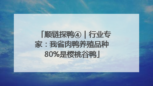 顺链探鸭④｜行业专家：我省肉鸭养殖品种80%是樱桃谷鸭