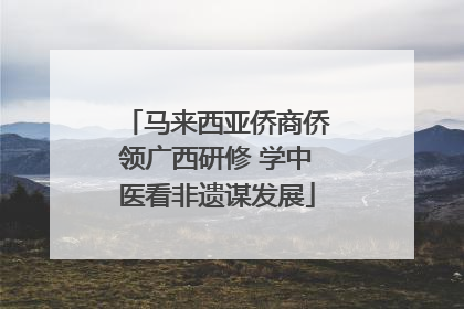 马来西亚侨商侨领广西研修 学中医看非遗谋发展