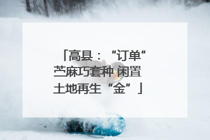 高县：“订单”苎麻巧套种 闲置土地再生“金”