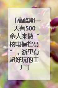 高峰期一天有500余人来做“核电操控员”，浙里有超好玩的工厂
