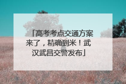 高考考点交通方案来了，精确到米！武汉武昌交警发布