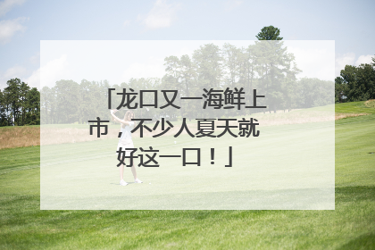 龙口又一海鲜上市，不少人夏天就好这一口！
