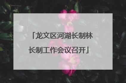 龙文区河湖长制林长制工作会议召开