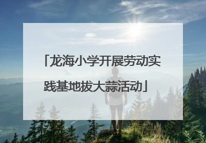 龙海小学开展劳动实践基地拔大蒜活动