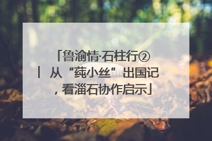 鲁渝情·石柱行② ︳从“莼小丝”出国记，看淄石协作启示