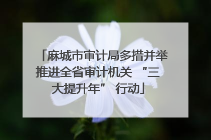 麻城市审计局多措并举推进全省审计机关 “三大提升年” 行动