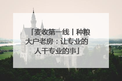 麦收第一线丨种粮大户老房：让专业的人干专业的事