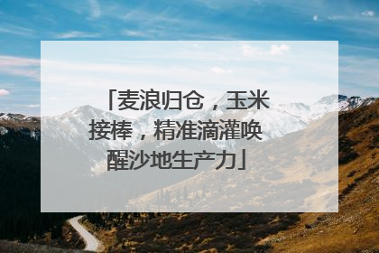 麦浪归仓，玉米接棒，精准滴灌唤醒沙地生产力