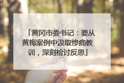 黄冈市委书记：要从黄梅案例中汲取惨痛教训，深刻检讨反思