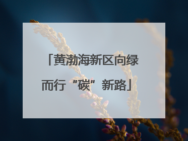 黄渤海新区向绿而行“碳”新路