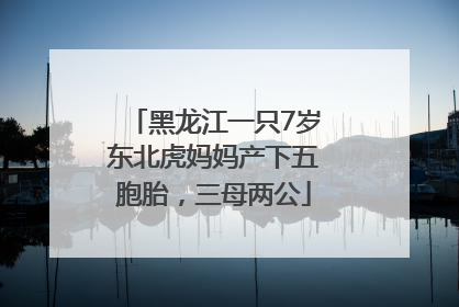 黑龙江一只7岁东北虎妈妈产下五胞胎，三母两公
