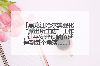 黑龙江哈尔滨强化“派出所主防”工作，让平安建设触角延伸到每个角落……