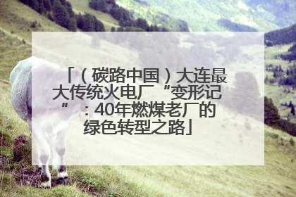 （碳路中国）大连最大传统火电厂“变形记”：40年燃煤老厂的绿色转型之路