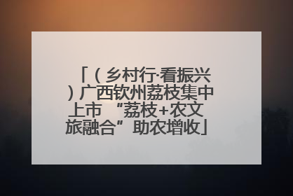 （乡村行·看振兴）广西钦州荔枝集中上市 “荔枝+农文旅融合”助农增收