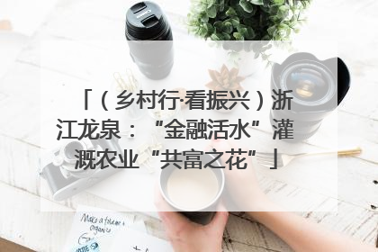 （乡村行·看振兴）浙江龙泉：“金融活水”灌溉农业“共富之花”