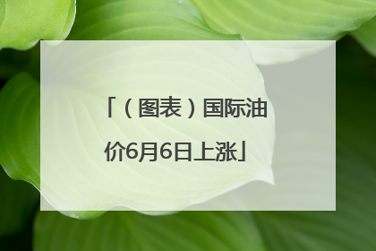（图表）国际油价6月6日上涨