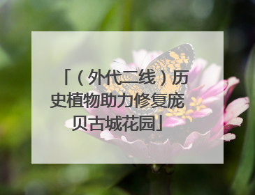 （外代二线）历史植物助力修复庞贝古城花园