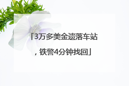 3万多美金遗落车站，铁警4分钟找回
