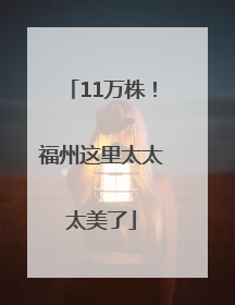 11万株！福州这里太太太美了