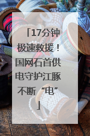 17分钟极速救援！国网石首供电守护江豚不断“电”