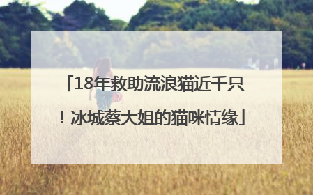 18年救助流浪猫近千只！冰城蔡大姐的猫咪情缘