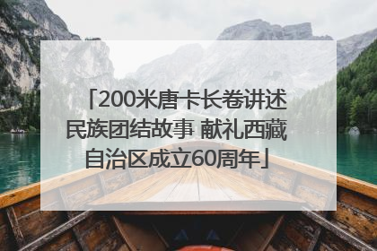 200米唐卡长卷讲述民族团结故事 献礼西藏自治区成立60周年