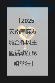 2025云南国际友城合作周主题活动在昆明举行