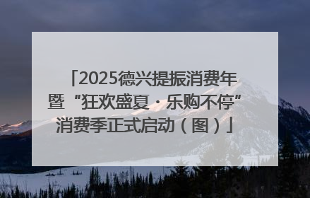 2025德兴提振消费年暨“狂欢盛夏・乐购不停”消费季正式启动（图）