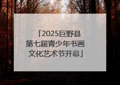 2025巨野县第七届青少年书画文化艺术节开幕