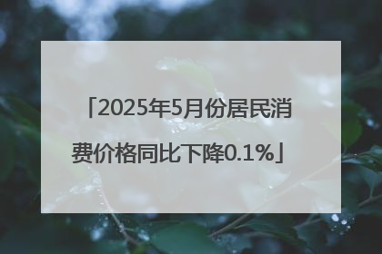 2025年5月份居民消费价格同比下降0.1%