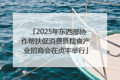 2025年东西部协作帮扶促消费暨糯食产业招商会在贞丰举行