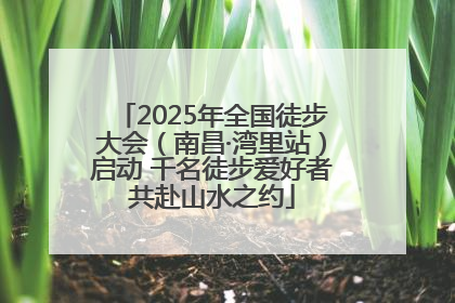 2025年全国徒步大会（南昌·湾里站）启动 千名徒步爱好者共赴山水之约