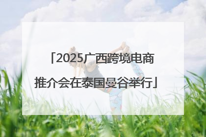 2025广西跨境电商推介会在泰国曼谷举行