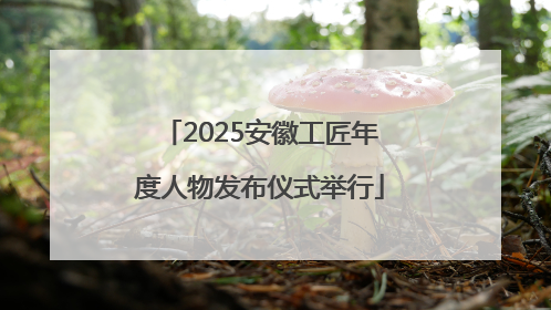 2025安徽工匠年度人物发布仪式举行