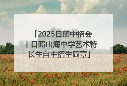 2025日照中招会丨日照山海中学艺术特长生自主招生简章