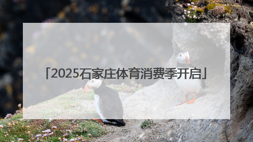 2025石家庄体育消费季开启