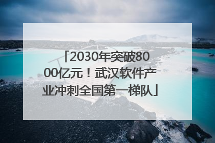 2030年突破8000亿元！武汉软件产业冲刺全国第一梯队