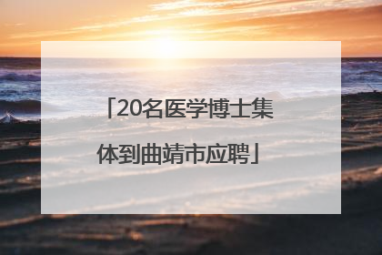 20名医学博士集体到曲靖市应聘