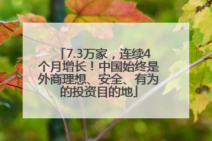 7.3万家，连续4个月增长！中国始终是外商理想、安全、有为的投资目的地