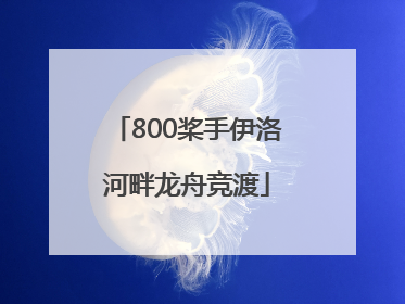 800桨手伊洛河畔龙舟竞渡