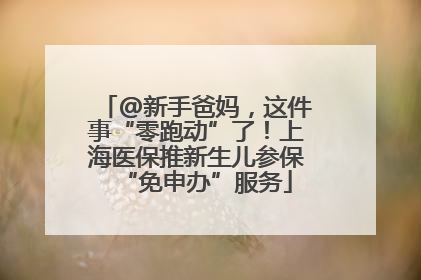 @新手爸妈，这件事“零跑动”了！上海医保推新生儿参保“免申办”服务