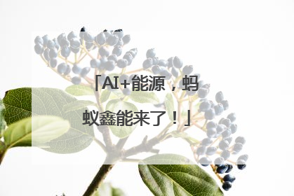 AI+能源，蚂蚁鑫能来了！